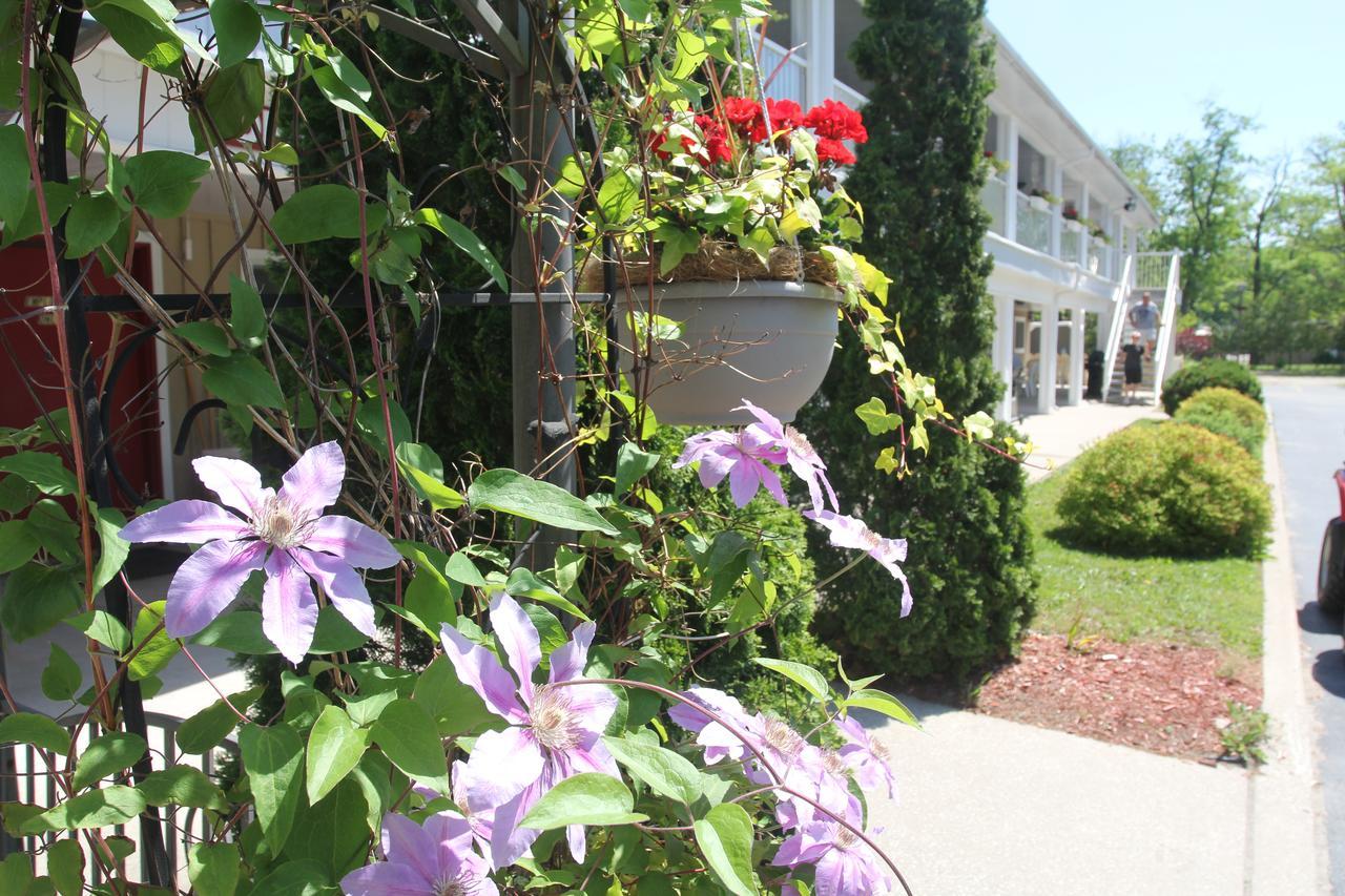 ווסאגה ביץ' Saga Resort מראה חיצוני תמונה